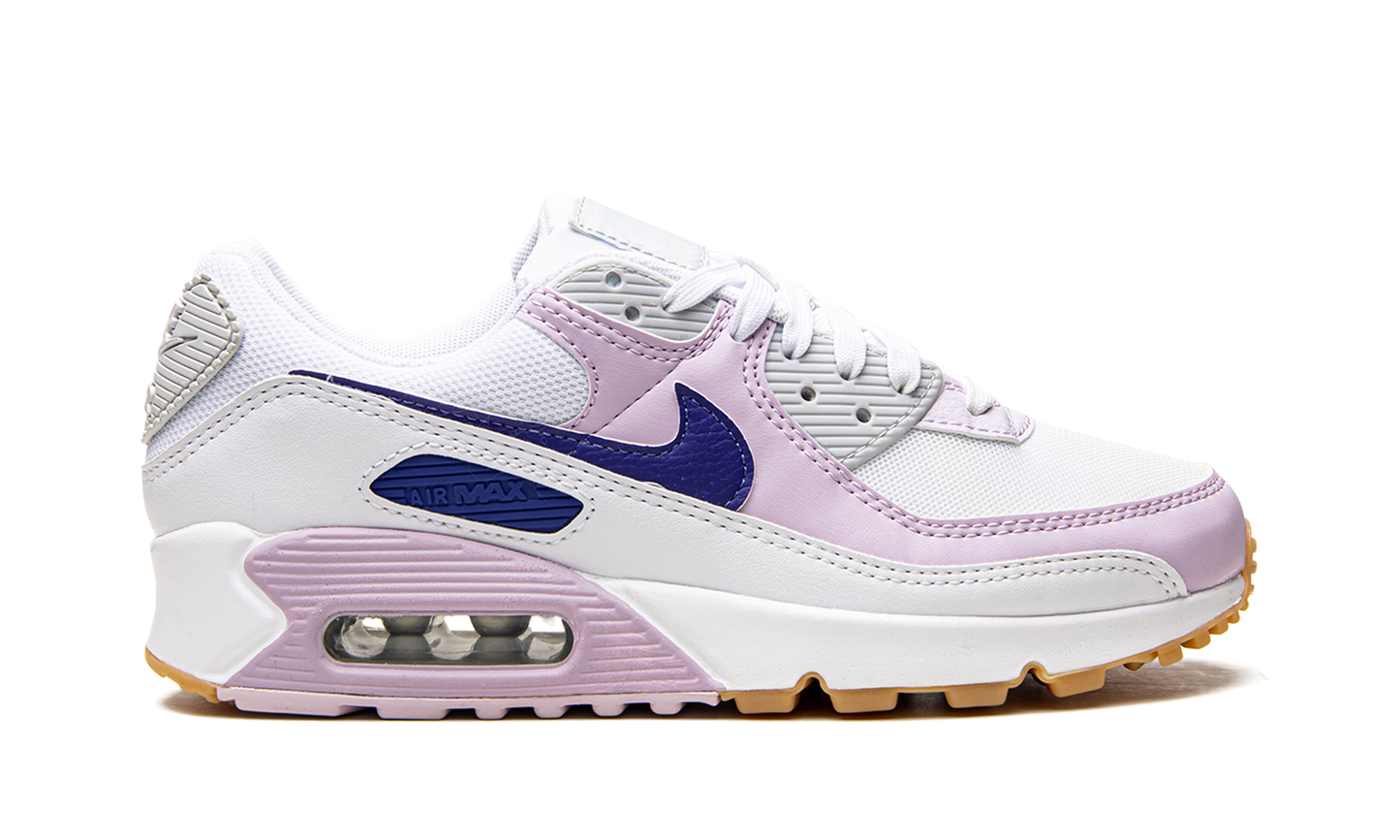 Nike AIR MAX 90 WMNS DX3316 100
