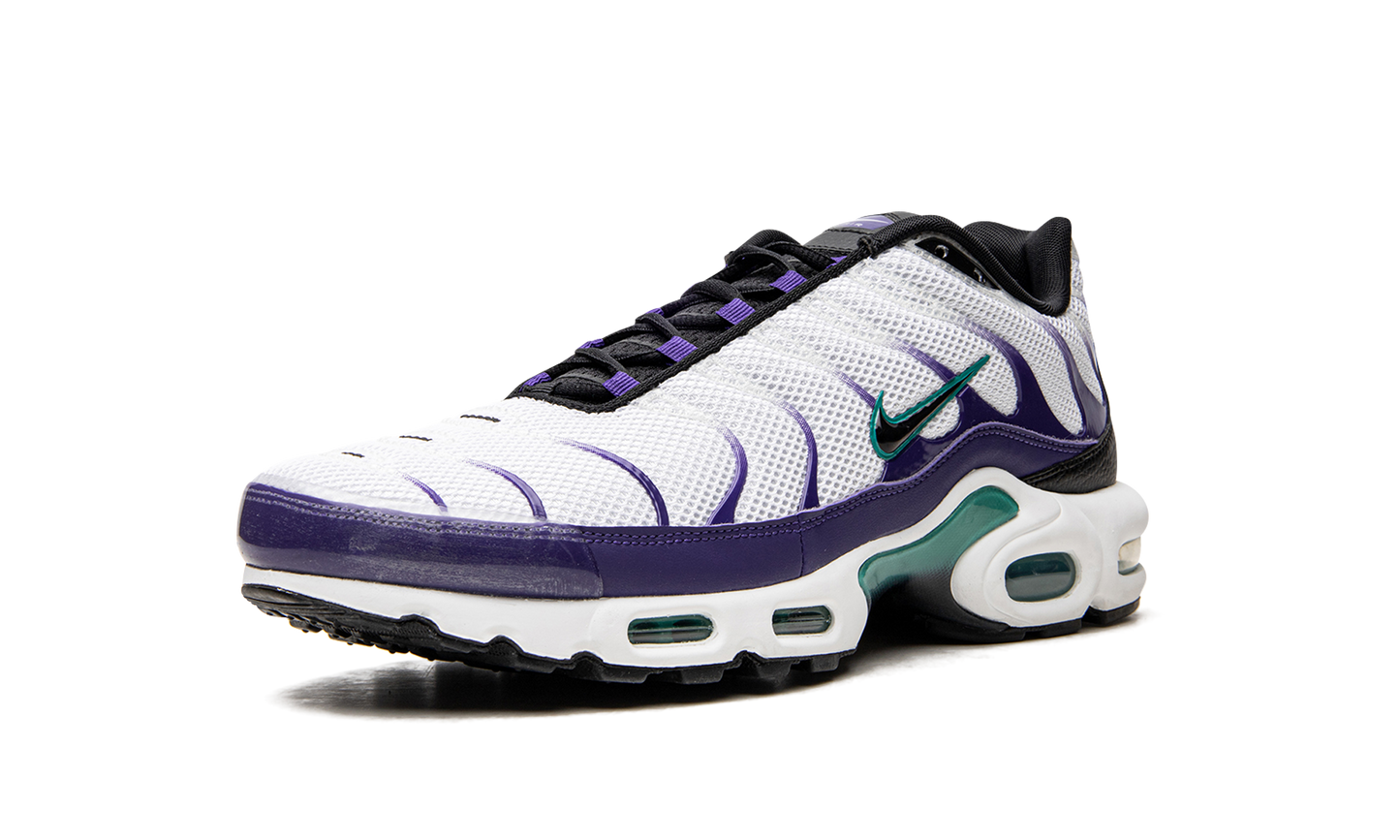 Nike Air Max Plus "Grape" DM0032 100