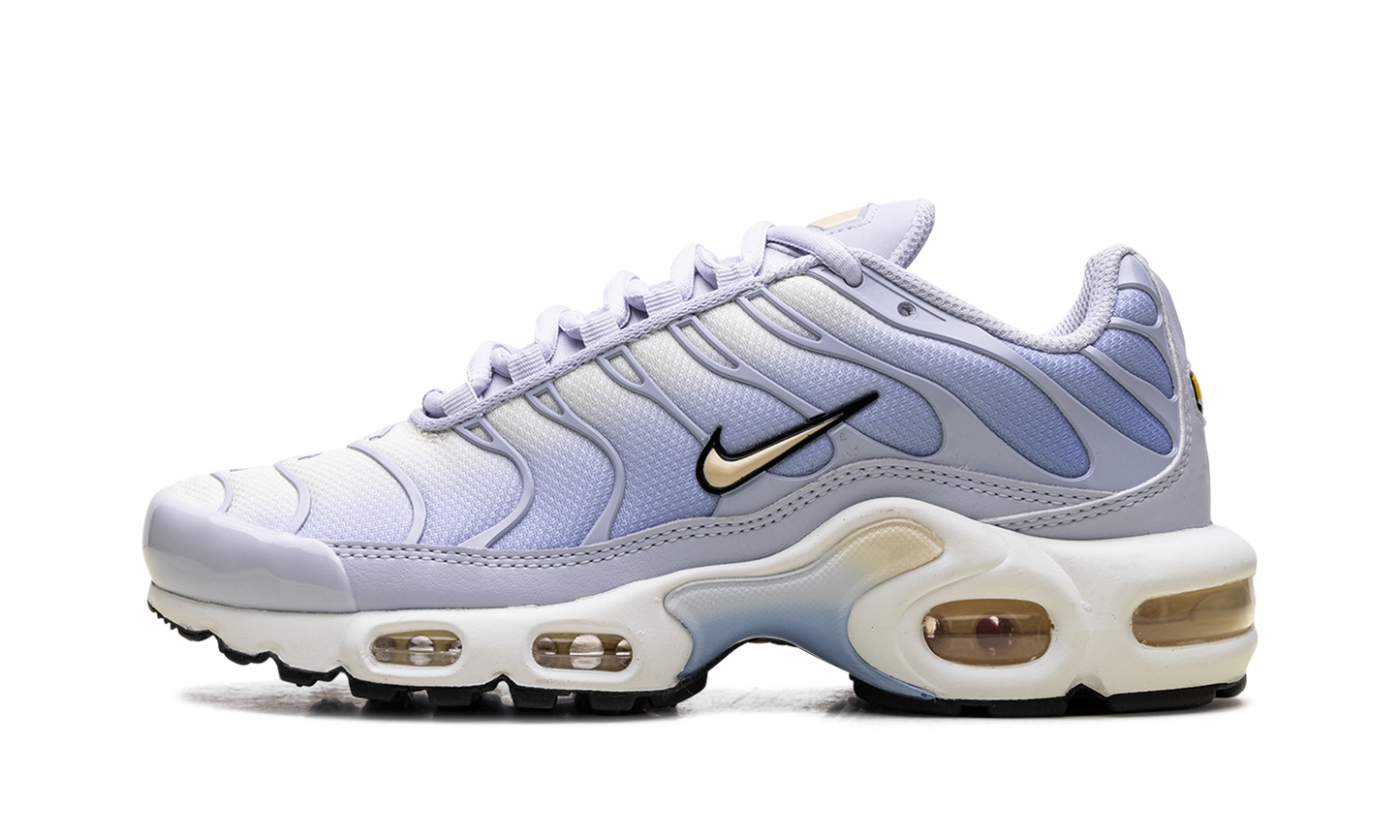 Nike Air Max Plus WMNS "Daybreak" DZ3670 004