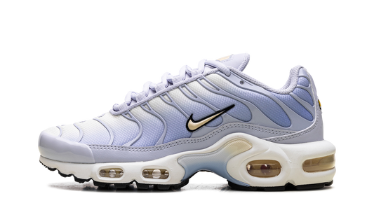 Nike Air Max Plus WMNS "Daybreak" DZ3670 004