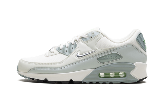 Nike Air Max 90 WMNS "Silver" FN6948-100