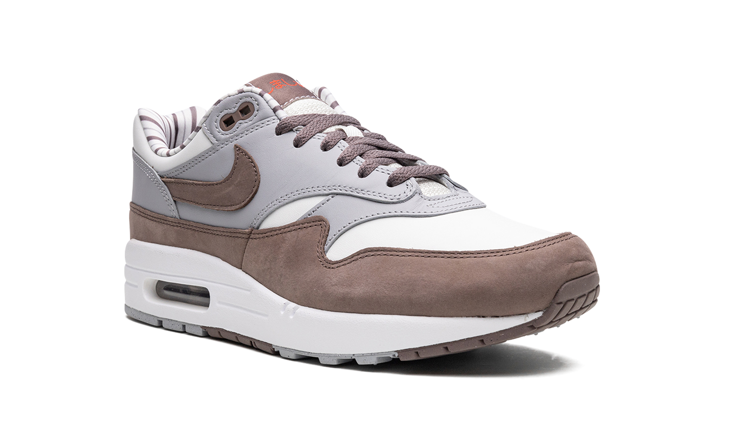 Nike Air Max 1 "Shima Shima" FB8916 100