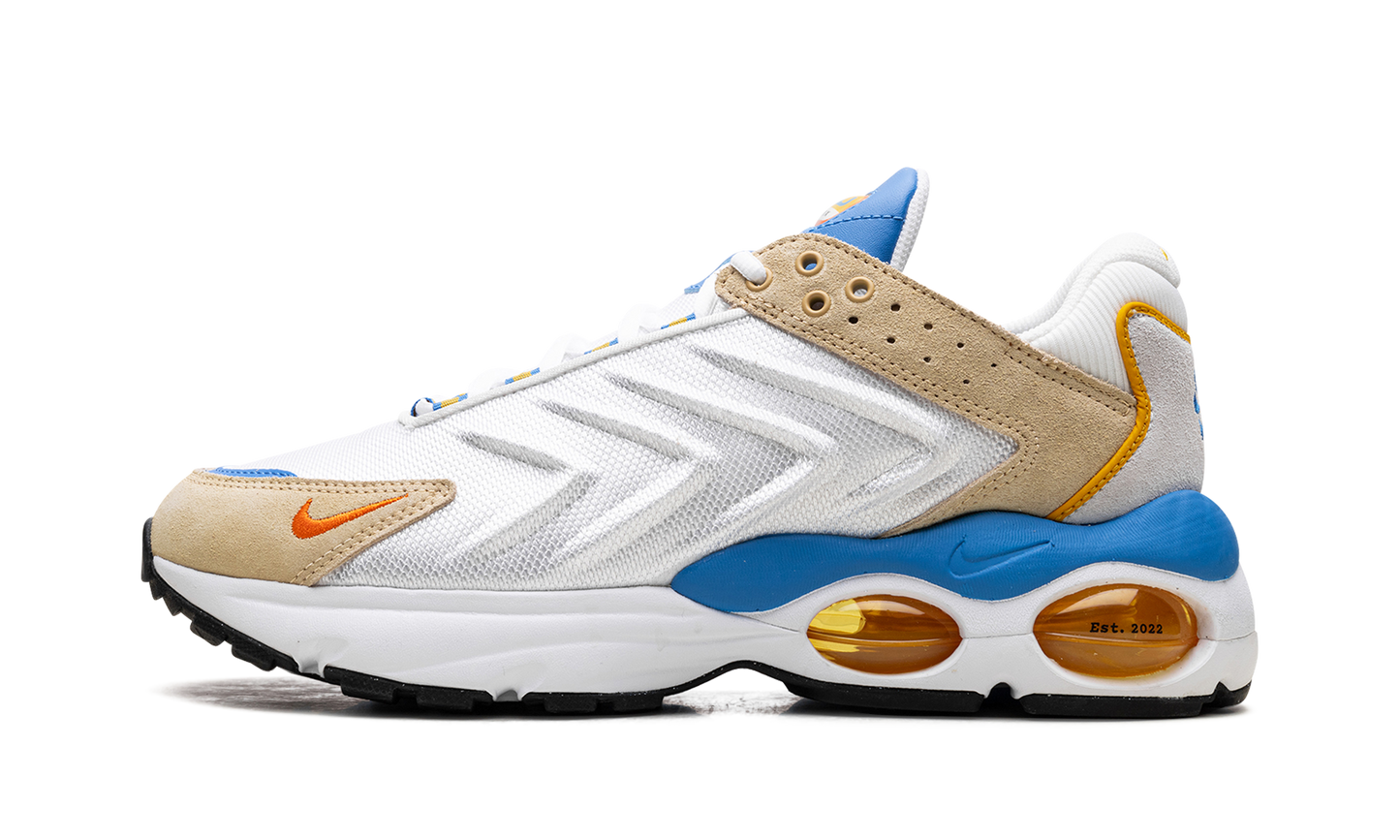 Nike Air Max TW "Frank Rudy" DV1232 100