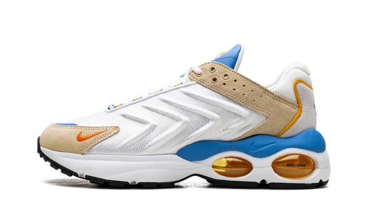 Nike Air Max TW "Frank Rudy" DV1232 100