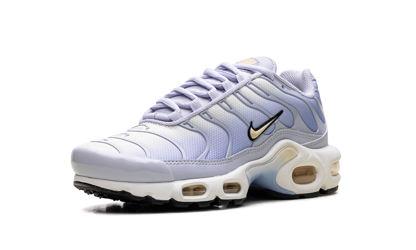 Nike Air Max Plus WMNS "Daybreak" DZ3670 004