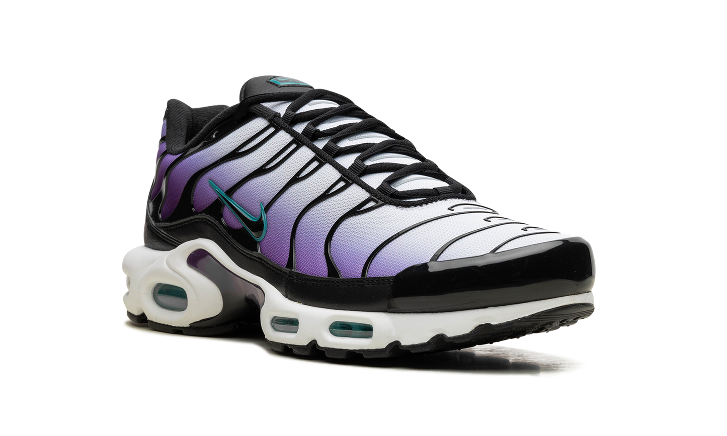 Nike Air Max Plus "Reverse Grape" FQ2415 500