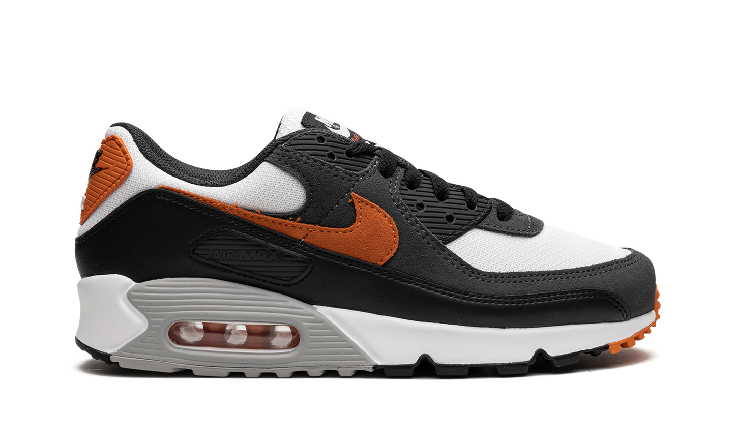 Nike Air Max 90 "Starfish" DM0029 101