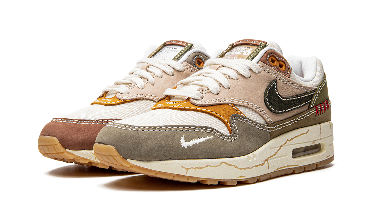 Nike Air Max 1 Premium "Wabi-sabi" DQ8656 133