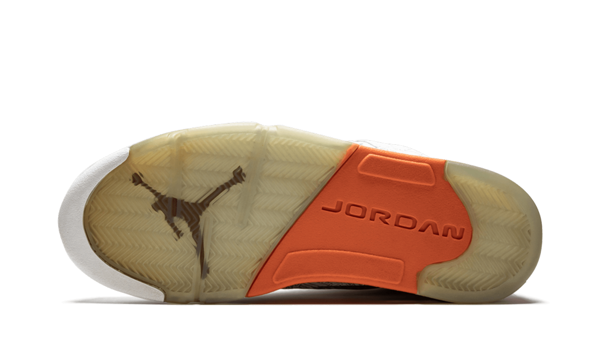 Air Jordan 5 RA Laser 315749 131
