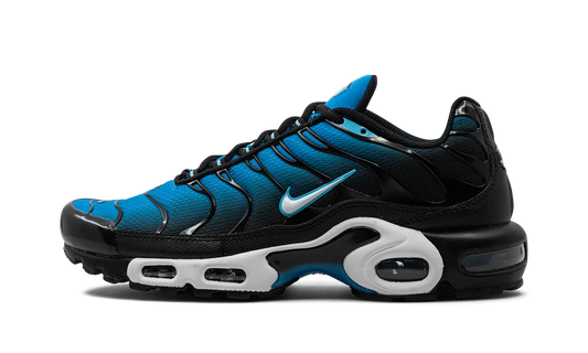 Nike Air Max Plus "Aquarius Blue" DM0032 402