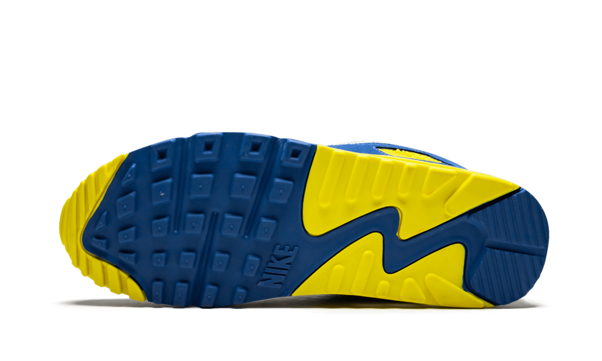 Nike Air Max 90 QS "VIOTECH 2.0" CD0917 300