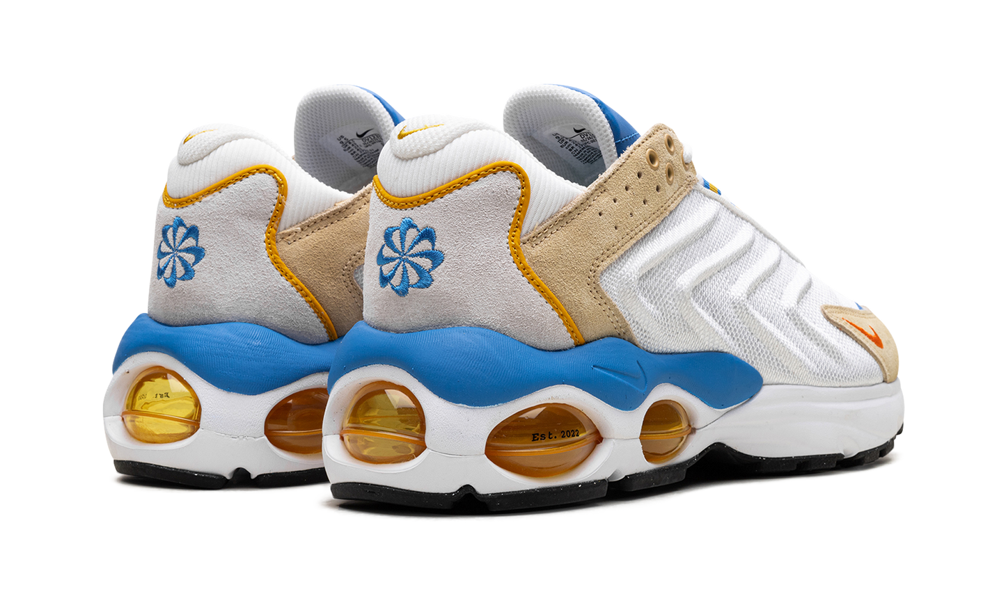 Nike Air Max TW "Frank Rudy" DV1232 100