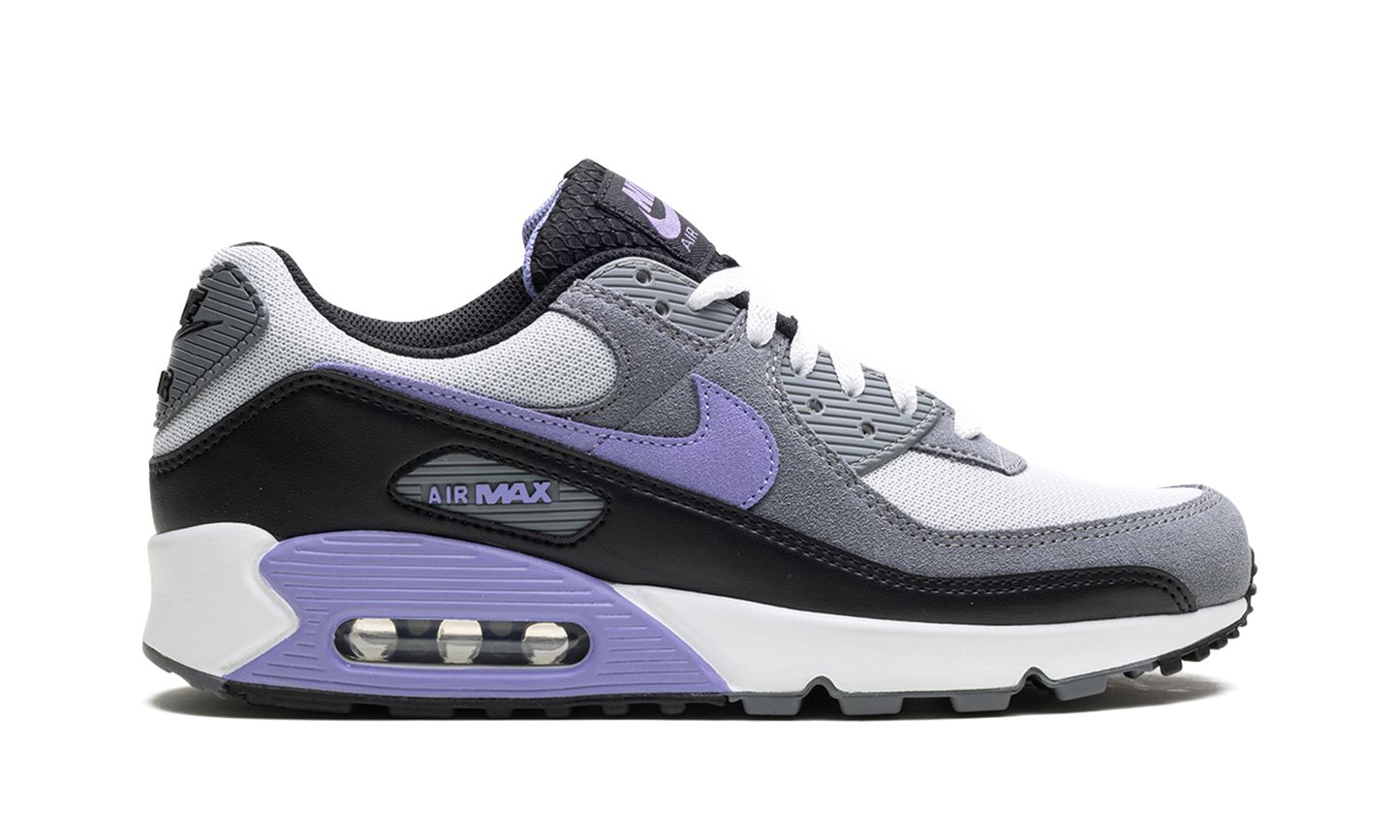 Nike Air Max 90 "Light Thistle" DM0029 014