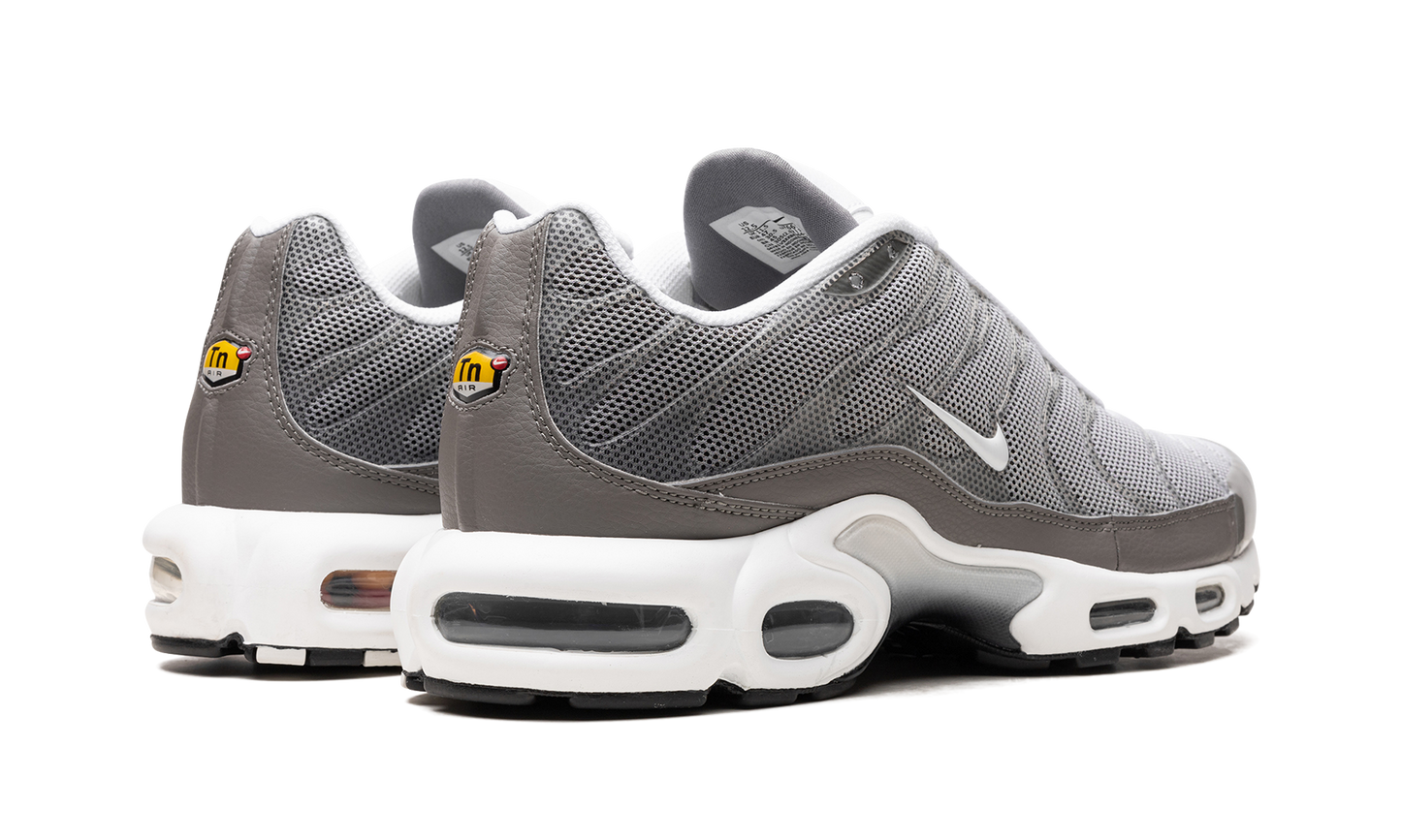 Nike Air Max Plus SE "Flat Pewter" DV7665 002