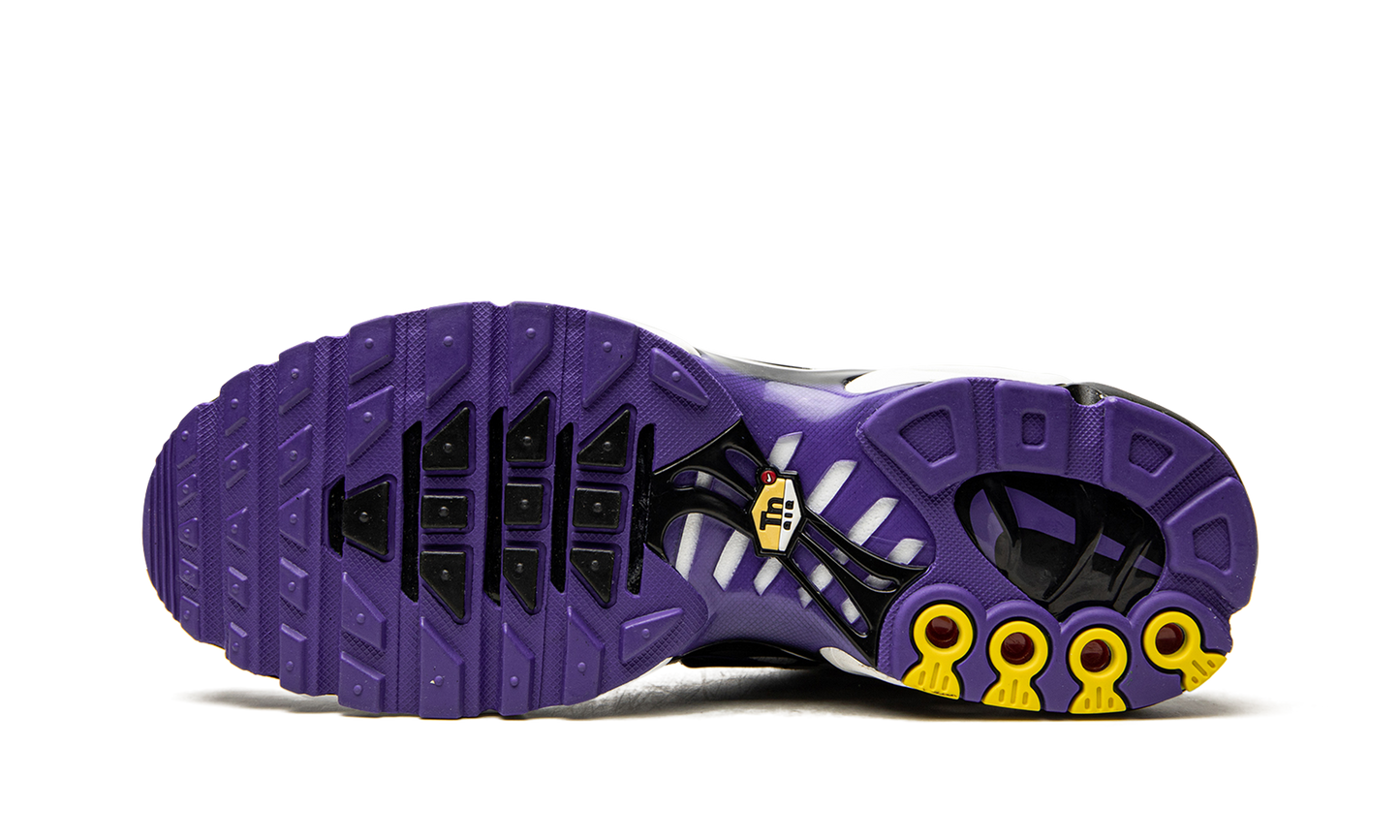 Nike Air Max Plus "Persian Violet" DB0682 100