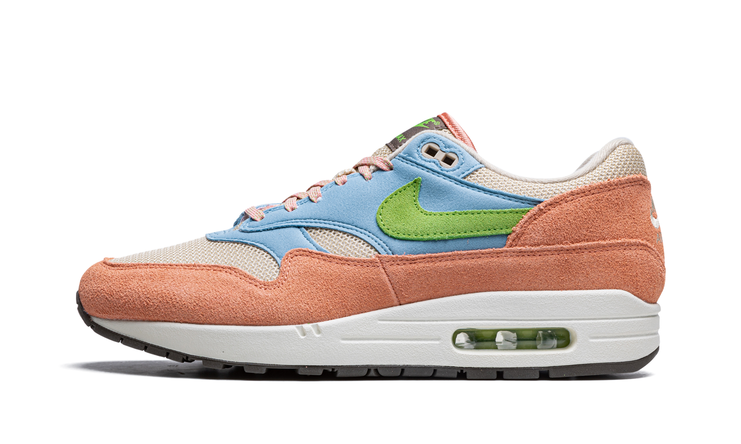 Nike Air Max 1 "Light Madder Root" DV3196 800