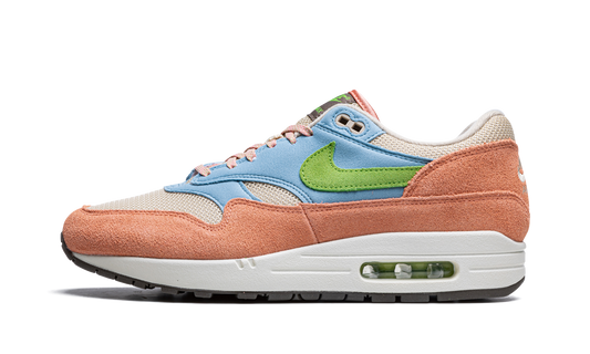 Nike Air Max 1 "Light Madder Root" DV3196 800