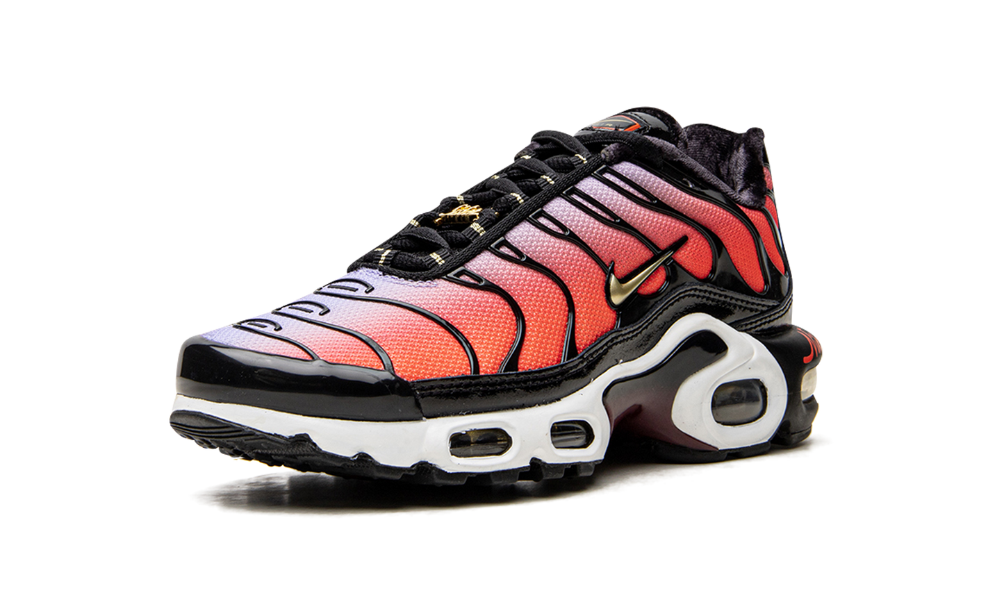 Nike AIR MAX PLUS MNS WMNS "Sisterhood" DO6115 500