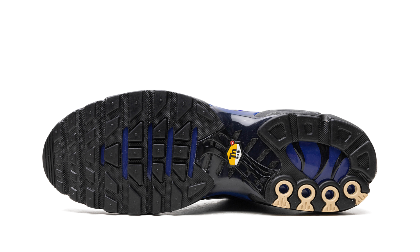 Nike AIR MAX PLUS "Black" FQ7331-001