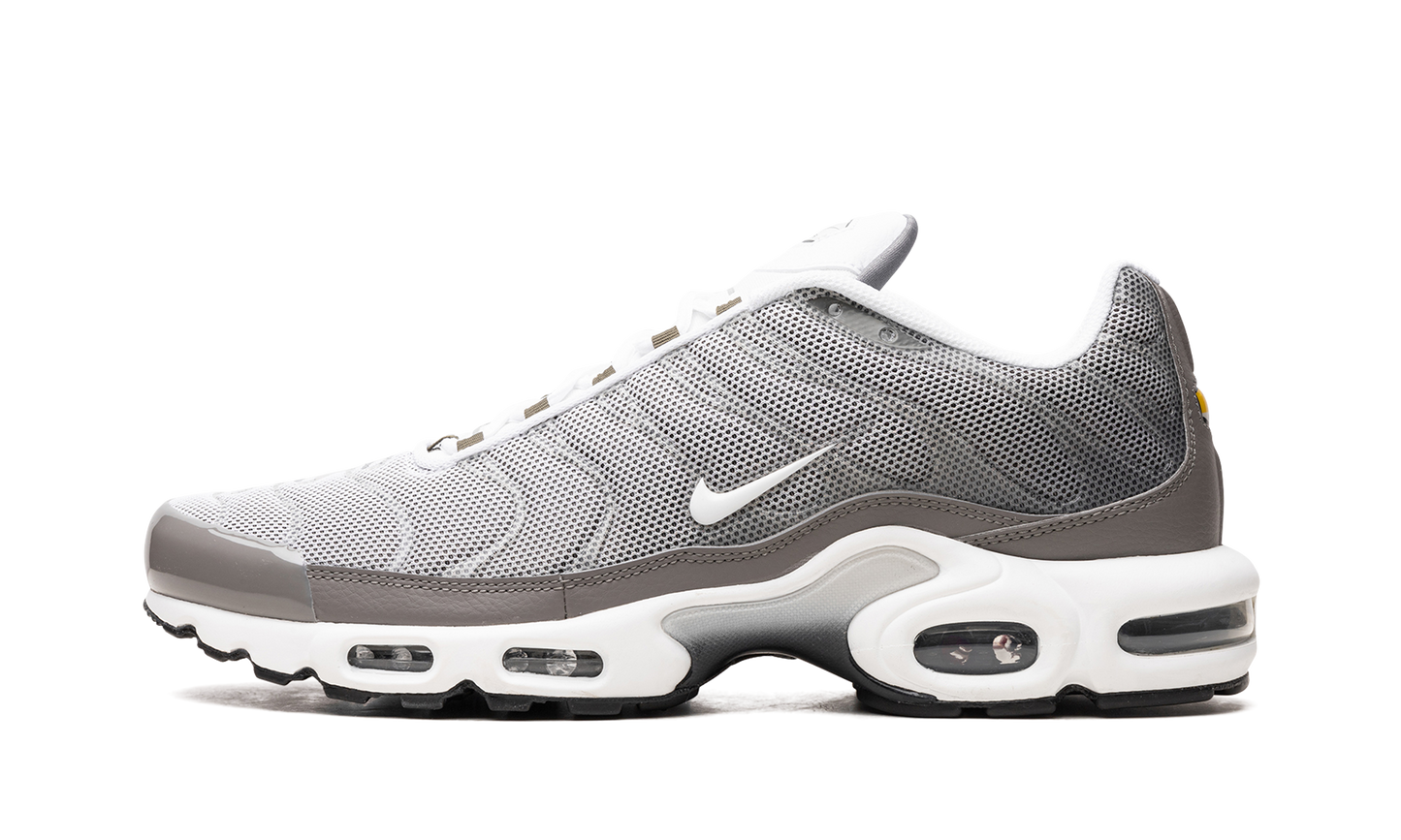Nike Air Max Plus SE "Flat Pewter" DV7665 002