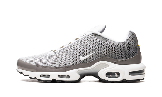 Nike Air Max Plus SE "Flat Pewter" DV7665 002