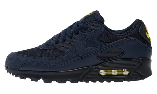Nike Air Max 90 "Obsidian" DM0029 401