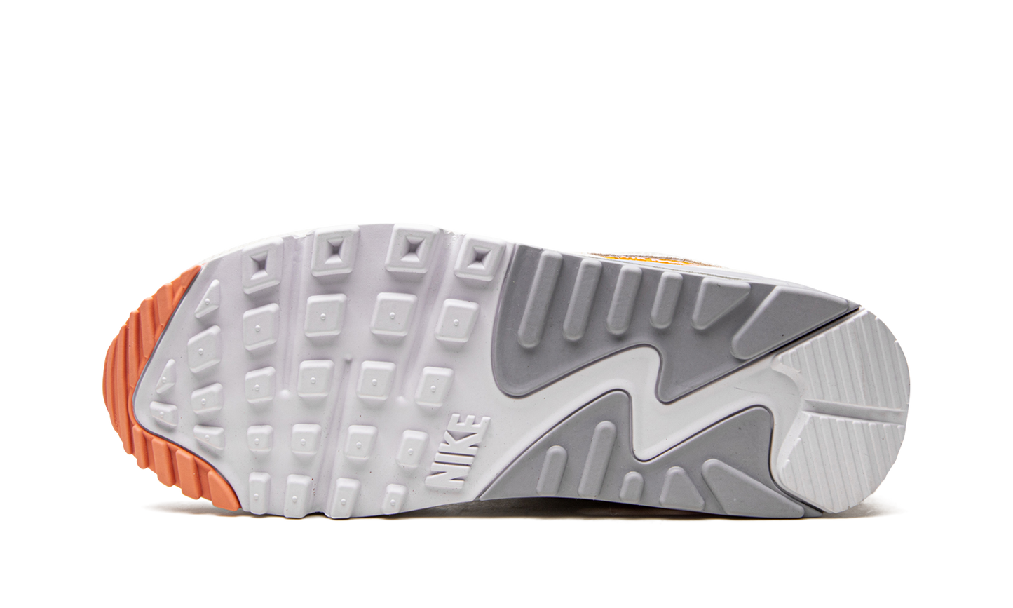 Nike AIR MAX 90 MNS WMNS "We'll Take It From Here" DV2188 100