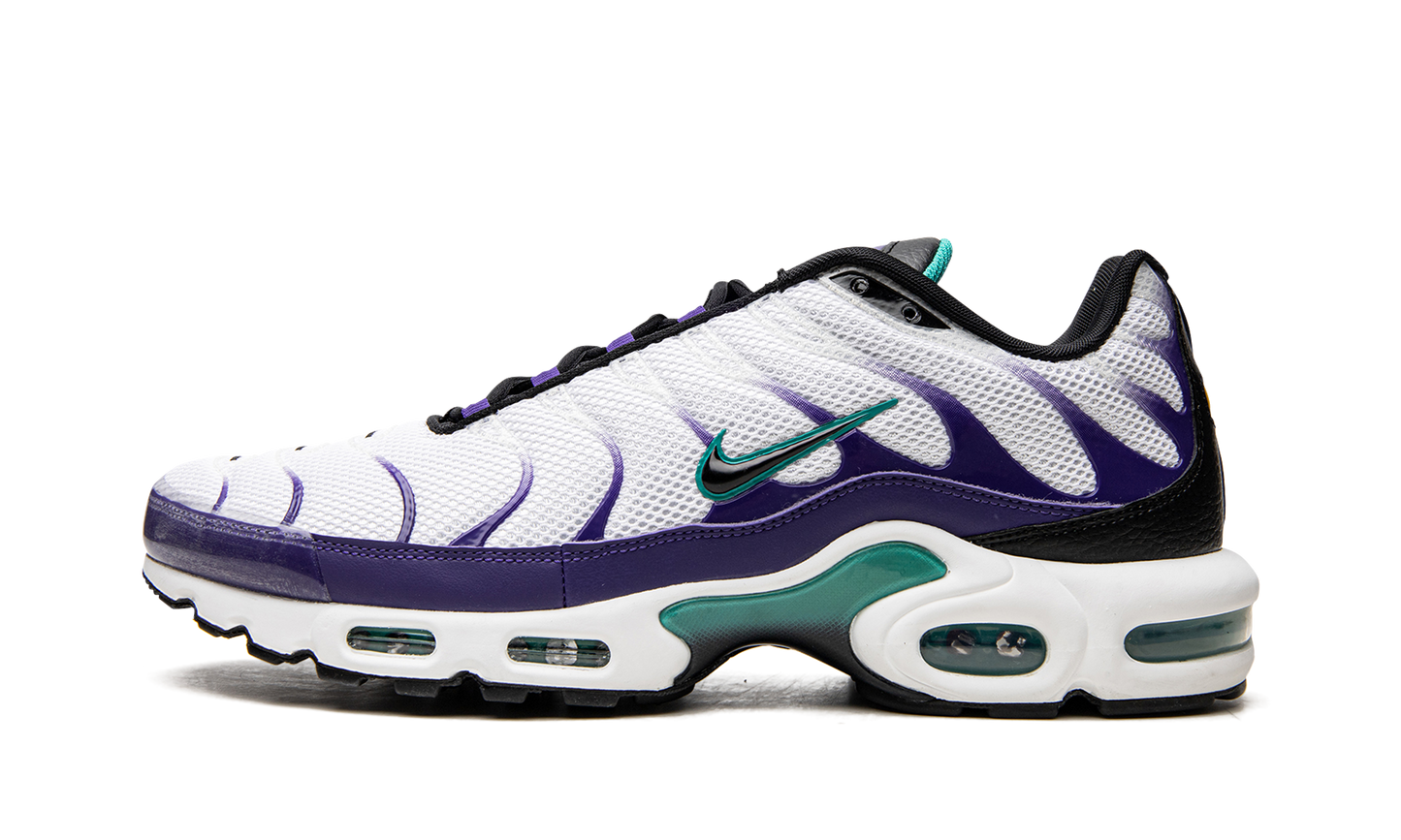 Nike Air Max Plus "Grape" DM0032 100