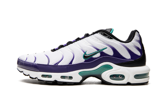 Nike Air Max Plus "Grape" DM0032 100