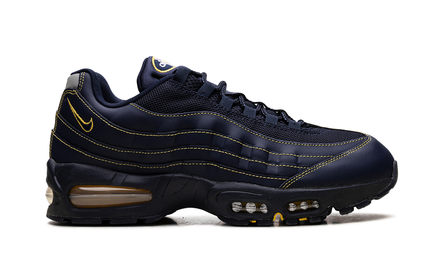 Nike Air Max 95 "Michigan" IB7936 400