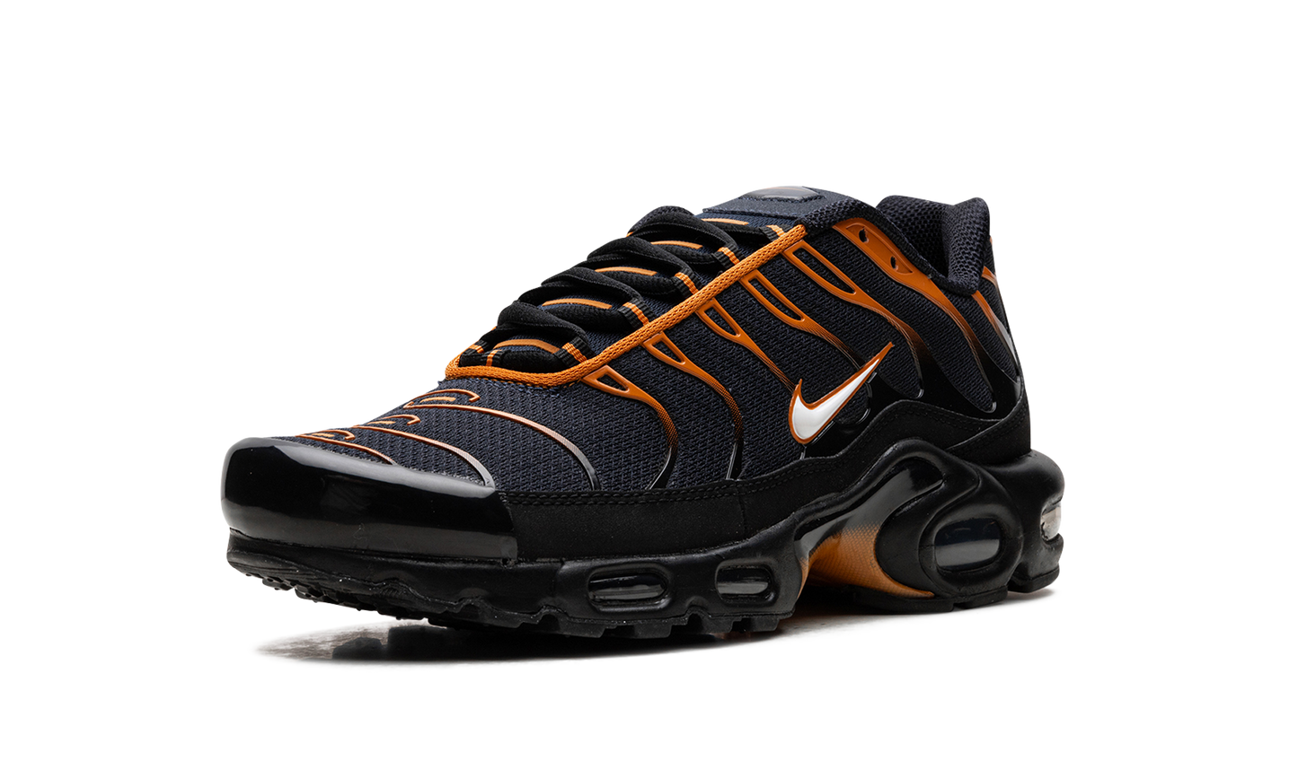 Nike Air Max Plus "OBSIDIAN MONARCH" FN6949 400