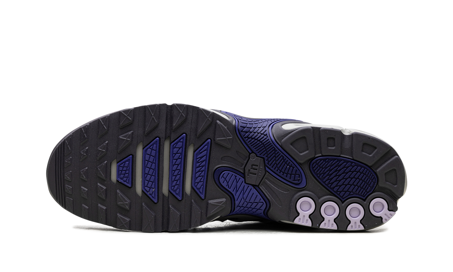 Nike Air Max Plus Drift "Concord" FD4290 007