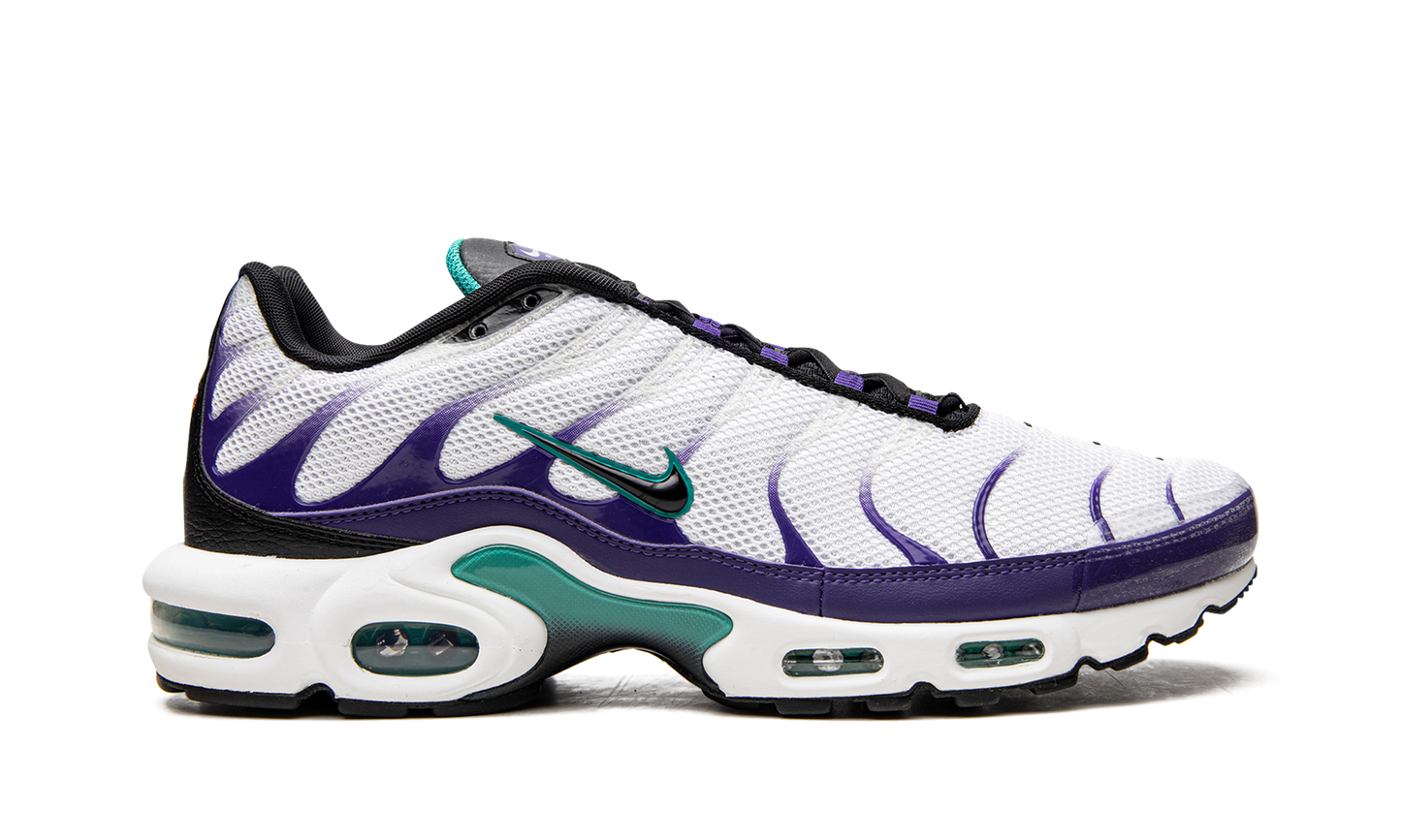 Nike Air Max Plus "Grape" DM0032 100