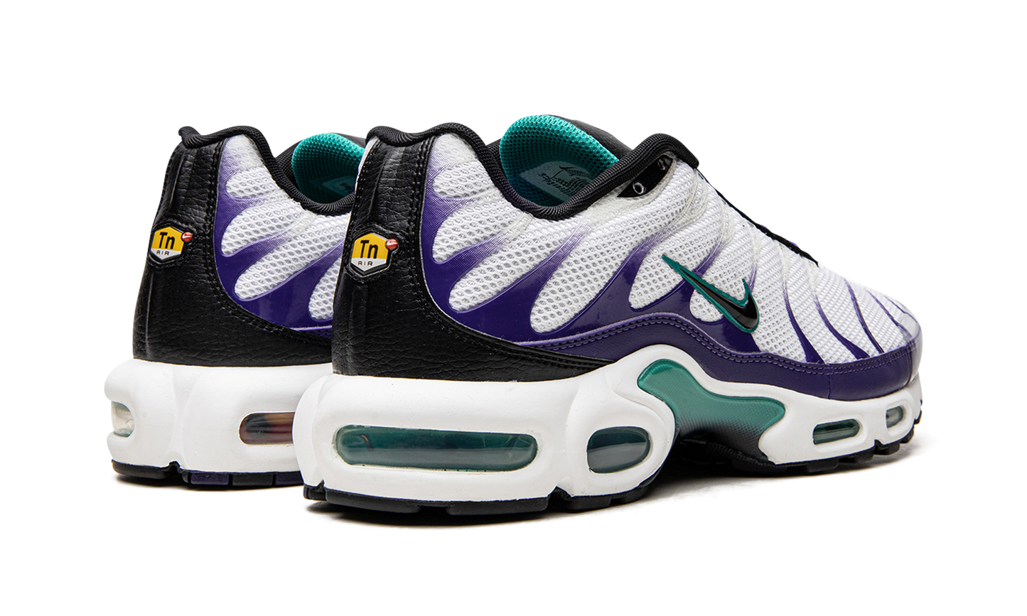 Nike Air Max Plus "Grape" DM0032 100