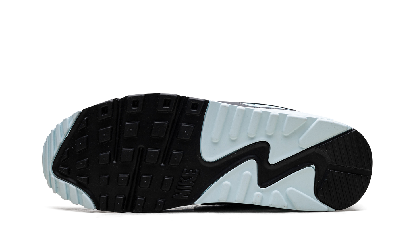 Nike Air Max 90 "Pumice" DM0029 009