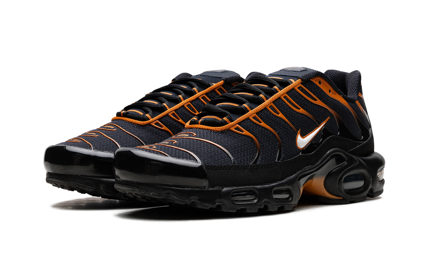 Nike Air Max Plus "OBSIDIAN MONARCH" FN6949 400