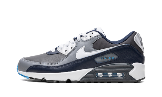 Nike Air Max 90 Gore-Tex "Anthracite / Obsidian" DJ9779 004