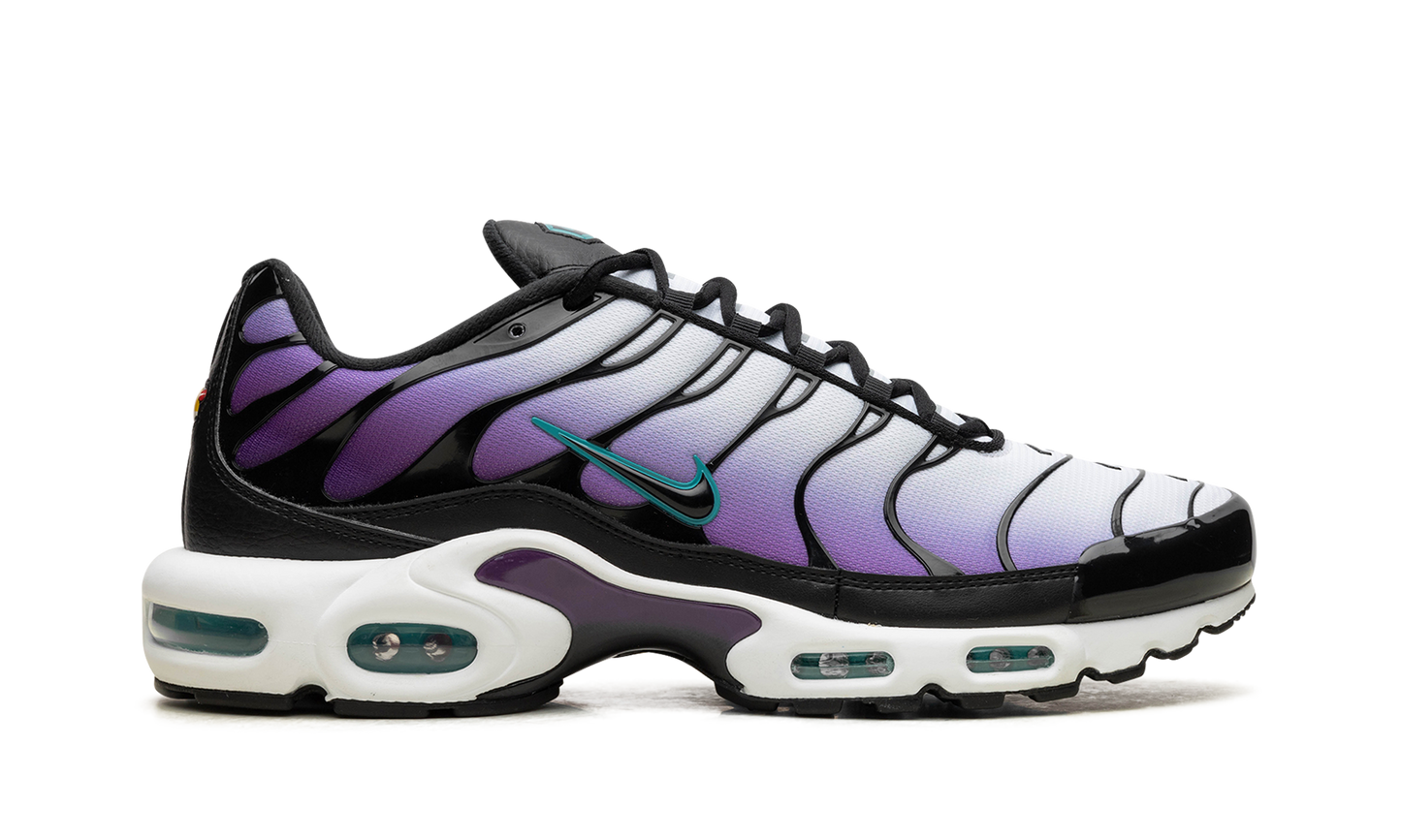 Nike Air Max Plus "Reverse Grape" FQ2415 500