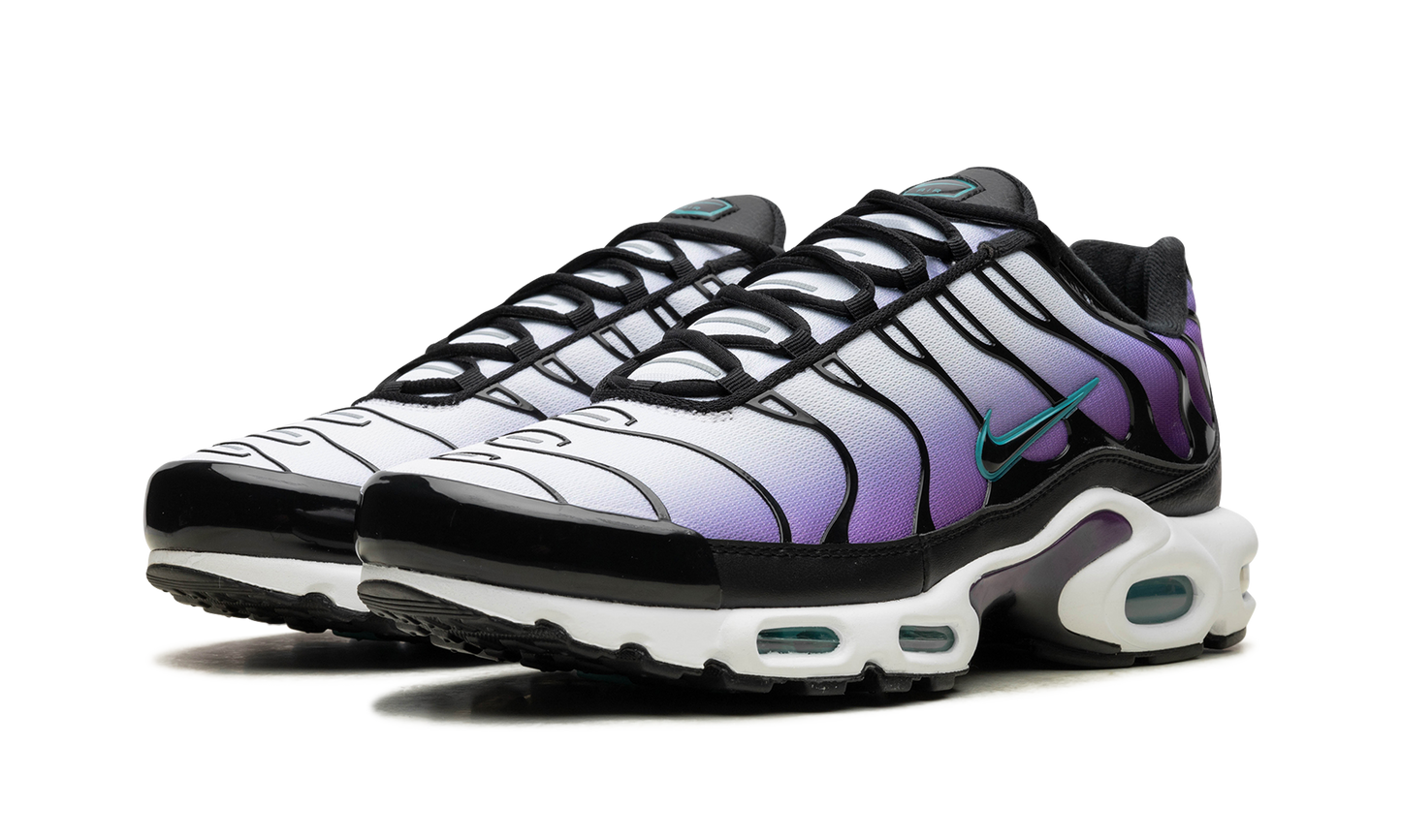 Nike Air Max Plus "Reverse Grape" FQ2415 500