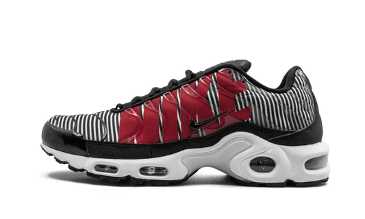 Nike Air Max Plus TN SE "Striped" AT0040 001
