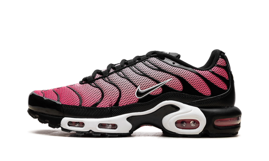 Nike Air Max Plus "All Day" HF3837 600