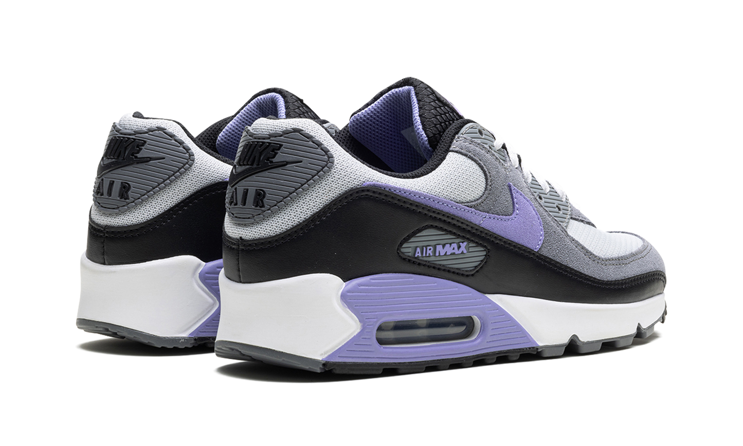 Nike Air Max 90 "Light Thistle" DM0029 014