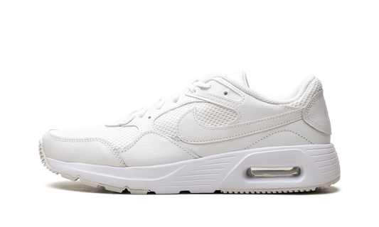 Nike Air MAX SC WMNS "Photon Dust" CW4554 101