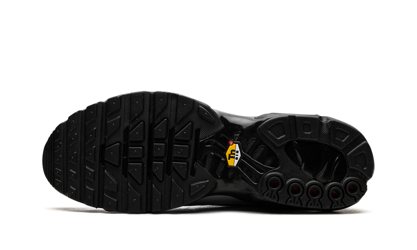 Nike Air Max Plus "Wolf Grey" HM6850 001