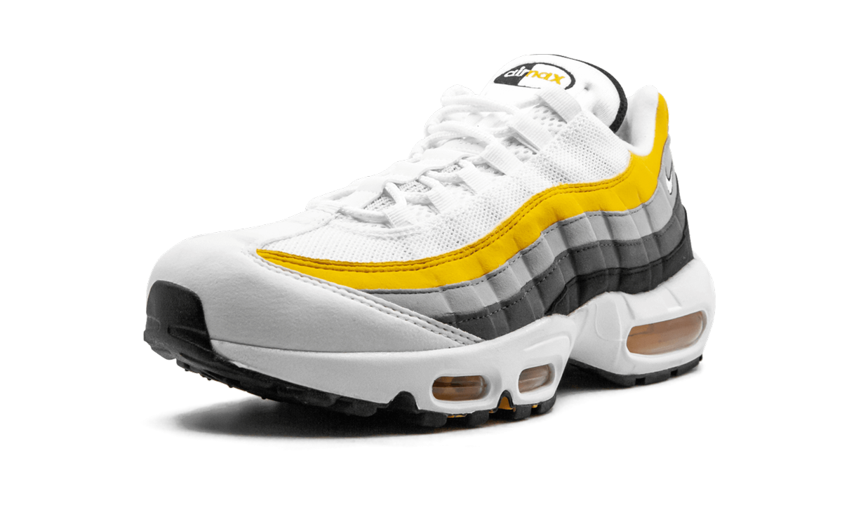 Nike Air Max 95 CD7495 100