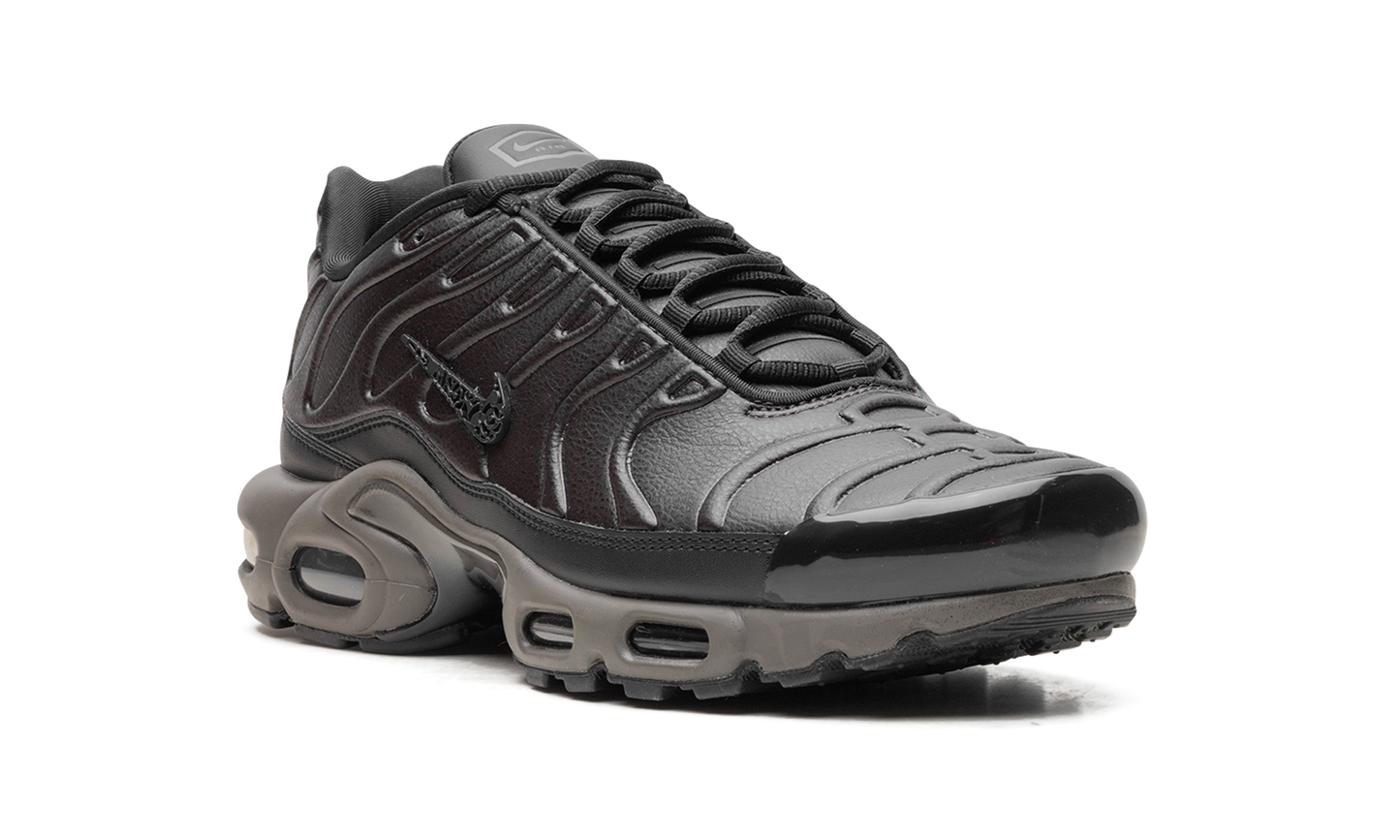 Nike Air Max Plus "Black Tea / Petra Brown" "Black Tea / Petra Brown" HJ4519 200