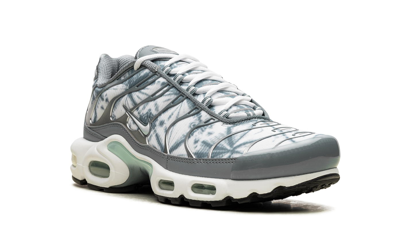Nike Air Max Plus "Waterway" FV0394 300