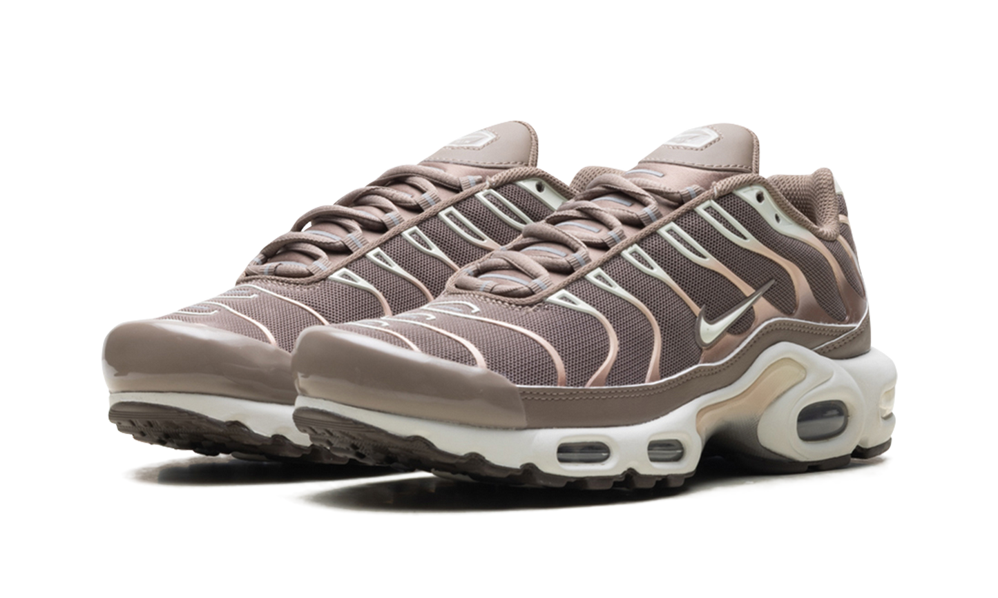 Nike Air Max Plus "Mink Brown" DZ3671 200