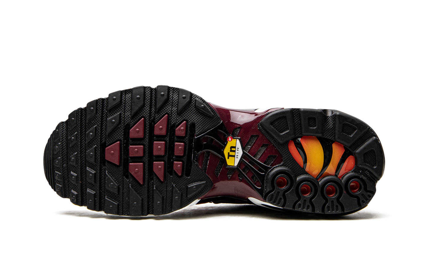 Nike AIR MAX PLUS MNS WMNS "Sisterhood" DO6115 500