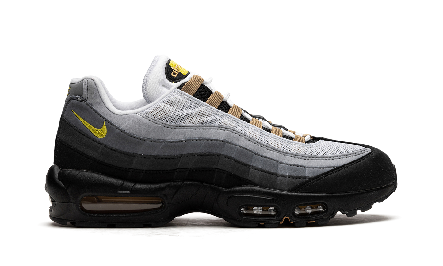 Nike Air Max 95 "ICONS" DX4236 100